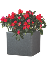 Pflanztopf COMO Granit Schwarz | 23x29x29 cm