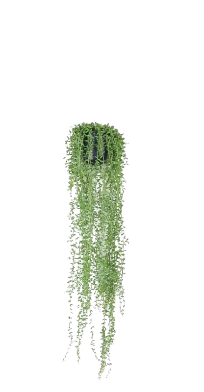 Künstliche Erbsenpflanze - Karina, 70 cm, Kunstpflanze von aplanta, inkl. Dekotopf, in Natur, für drinnen