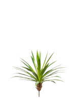 Künstliche Agave - Ole, 60 cm, Kunstpflanze von aplanta, Steckpflanze, in Natur, für drinnen