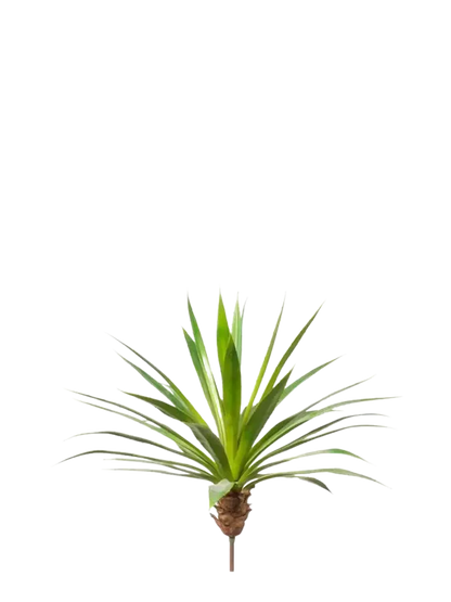 Künstliche Agave - Ole, 60 cm, Kunstpflanze von aplanta, Steckpflanze, in Natur, für drinnen