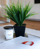 Pot d'herbe artificielle - Gunter | 30 cm