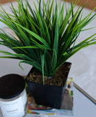 Pot d'herbe artificielle - Gunter | 30 cm