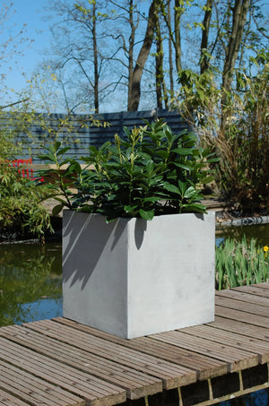 Bac à plantes - Leyla | 50x50x50 cm, design béton