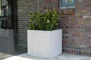 Bac à plantes - Leyla | 60x60x60 cm, design béton