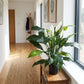 Spathiphyllum artificiel - Big-Luna | 73 cm