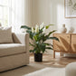 Spathiphyllum artificiel - Big-Luna | 73 cm