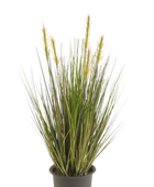 Hochwertiges Kunstgras auf transparentem Hintergrund mit echt wirkenden Kunstblättern in natürlicher Anordnung. Künstliches Gras - Theodor hat die Farbe Natur und ist 45 cm hoch. | aplanta Kunstpflanzen