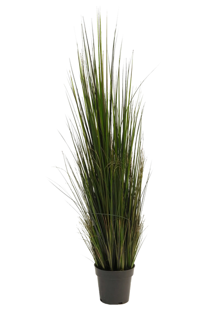 Künstliches Gras - Hanno, 120 cm, Kunstpflanze von aplanta, in Grün, für drinnen
