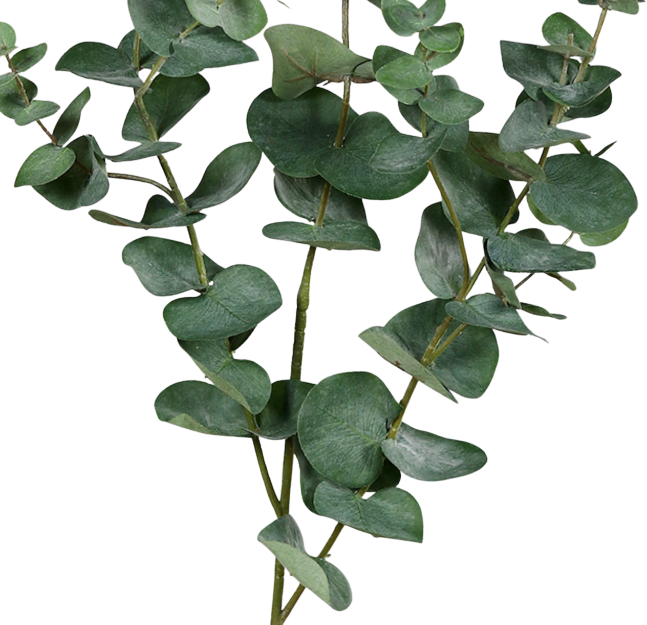 Branche d'eucalyptus artificielle - Coca | 115 cm
