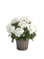 Künstliche Hortensie - Lenny, 45 cm, Kunstblume von aplanta, inkl. Dekotopf, in Natur, für drinnen
