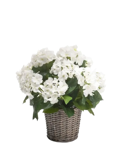 Künstliche Hortensie - Lenny, 45 cm, Kunstblume von aplanta, inkl. Dekotopf, in Natur, für drinnen