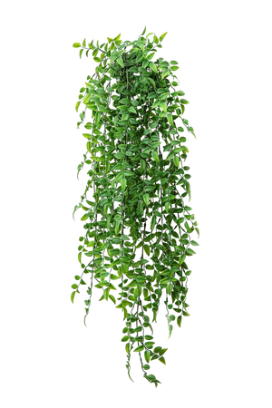 Künstlicher Mäusedorn - Dima | 70 cm