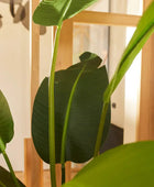 Künstliche Strelitzia - Josephine | 190 cm