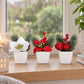 Künstliches Weihnachts-Arrangement - Brisu | 3 Stück | in weißer Schale