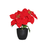 Künstliche Poinsettia - Cady, 32 cm, Kunstpflanze von aplanta, in Natur, für drinnen