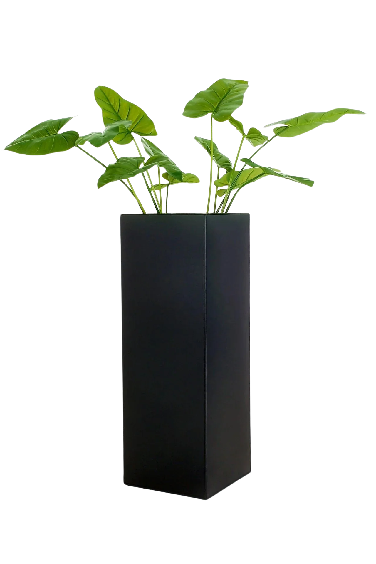 Bac à plantes - Enisa | 40x40x100 cm, Anthracite