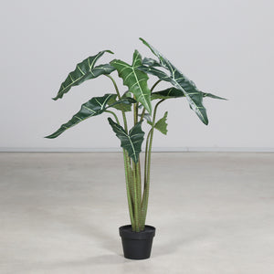 Künstliche Alocasia - Claudi | 130 cm