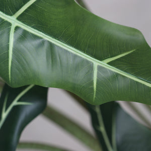 Künstliche Alocasia - Claudi | 130 cm