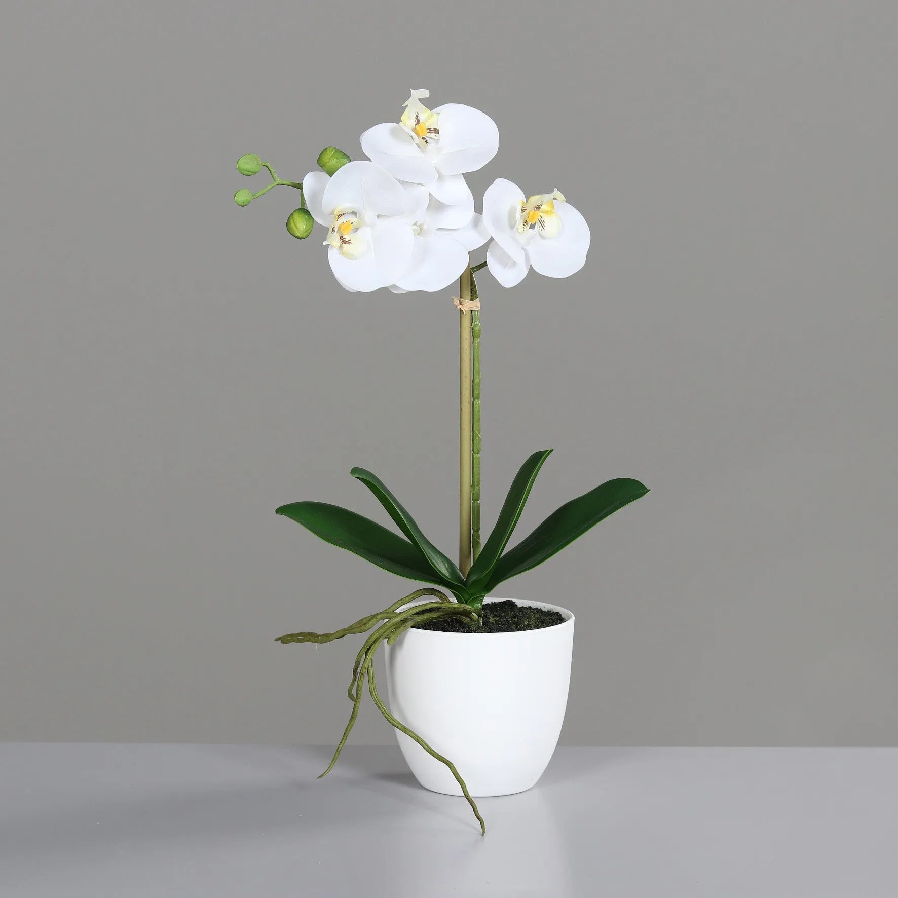 Künstliche Orchidee - Nori | 40 cm