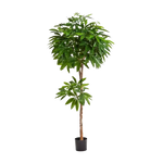 Künstliche Glückskastanie - Owen auf transparentem Hintergrund mit echt wirkenden Kunstblättern in natürlicher Anordnung. Künstliche Glückskastanie - Owen hat die Farbe Grün und ist 150 cm hoch. | aplanta Kunstpflanzen