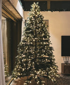 Arbre de Noël artificiel - David | 300 cm, avec lumières LED