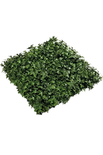 Kunstefeu Pflanzenwand aus Kunstpflanzen auf Transparentem hintergrund, 50x50 Farbe natur