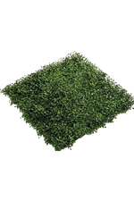 Künstliche Buchsbaum Matte - Nick auf transparentem Hintergrund mit echt wirkenden Kunstblättern. Diese Kunstpflanze gehört zur Gattung/Familie der "Buchsbäume" bzw. "Kunst-Buchsbäume".