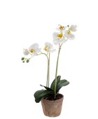 Künstliche Orchidee - Nika auf transparentem Hintergrund mit echt wirkenden Kunstblättern. Diese Kunstpflanze gehört zur Gattung/Familie der "Orchideen" bzw. "Kunst-Orchideen".