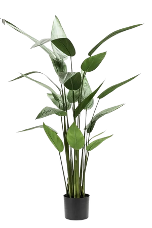 Künstliche Helikonie – Azariel | 140 cm