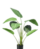 Künstliche Strelitzia - Carl auf transparentem Hintergrund mit echt wirkenden Kunstblättern. Diese Kunstpflanze gehört zur Gattung/Familie der "Strelitzias" bzw. "Kunst-Strelitzias".