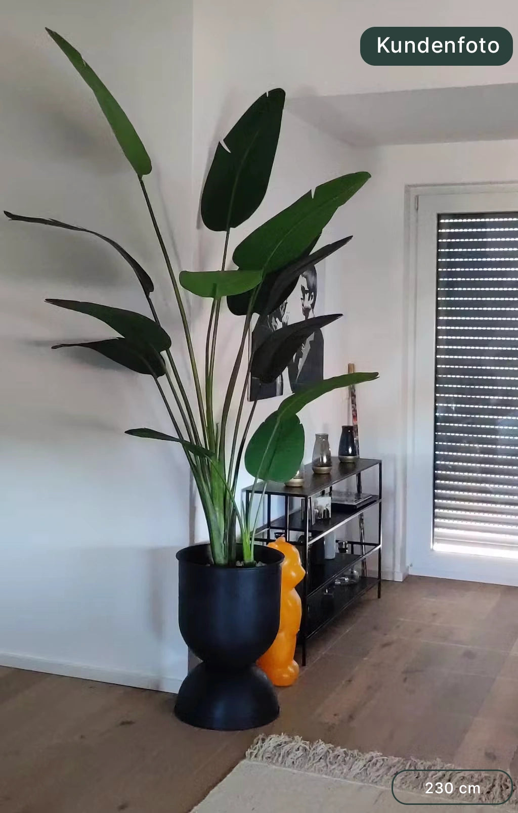 Strelitzia artificiel - Josephine | 230 cm