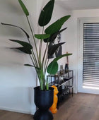 Strelitzia artificiel - Josephine | 230 cm