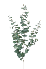Künstlicher Eukalyptus Zweig Coa, 72 cm, Kunstbaum von aplanta, feuerhemmend, Steckpflanze, in Grün, für drinnen