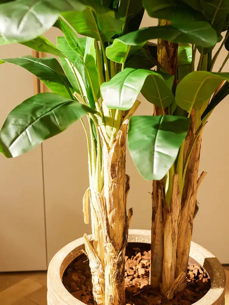 Künstlicher Bananenbaum - Maliora, 140 cm, Kunstpflanze von aplanta, UV-beständig, inkl. Startertopf, in Natur, für drinnen
