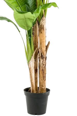 Künstlicher Bananenbaum – Maliora | 210 cm