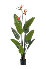 Künstliche Strelitzia - Constantin auf transparentem Hintergrund mit echt wirkenden Kunstblättern. Diese Kunstpflanze gehört zur Gattung/Familie der "Strelitzias" bzw. "Kunst-Strelitzias".