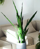 Künstlicher Bogenhanf - Jette | 97 cm