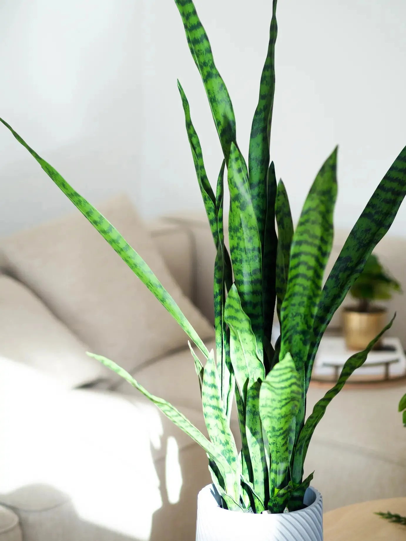 Künstlicher Bogenhanf - Jette | 97 cm