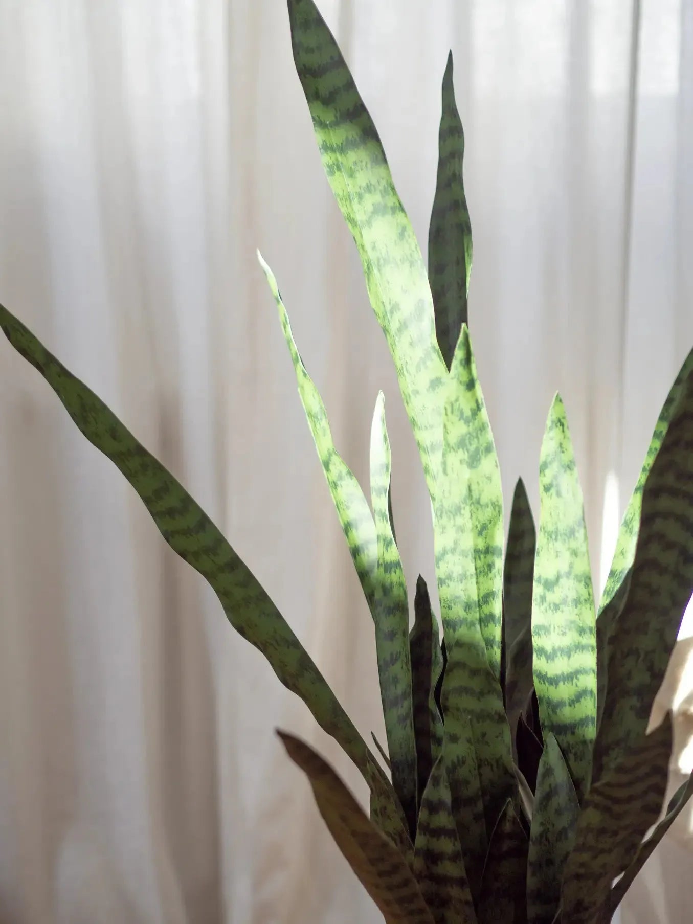 Künstlicher Bogenhanf - Jette | 97 cm