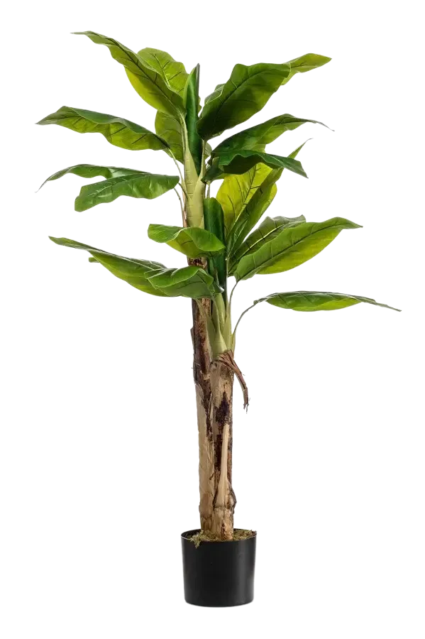 Künstlicher Bananenbaum - Maliora, 140 cm, Kunstpflanze von aplanta, UV-beständig, inkl. Startertopf, in Natur, für drinnen