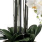 Künstliche Orchidee - Louisa, 100 cm, Kunstblume von aplanta, inkl. Dekotopf, in Natur, für drinnen