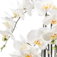 Künstliche Orchidee - Louisa, 100 cm, Kunstblume von aplanta, inkl. Dekotopf, in Natur, für drinnen