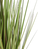 Künstliches Gras - Chiara | 60 cm