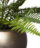 Künstlicher Schwertfarn - Sen | 69 cm