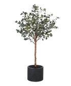 Künstlicher Eucalyptus Baum - Parla | 180 cm
