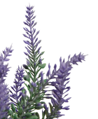 Künstlicher Lavendel - Lakos | 26 cm