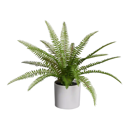 Künstlicher Farn - Isa | 35 cm