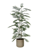 Künstliche Bergpalme - Nolte | 180 cm