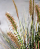 Herbe artificielle pour lampadaire - Paulin | 45 cm