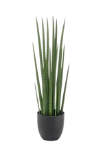 Künstlicher Bogenhanf - Joleen, 70 cm, Kunstpflanze von aplanta, inkl. Dekotopf, im schwarzen Topf, in Natur, für drinnen